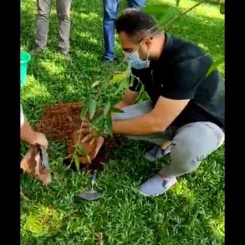Professional planting tree outdoors wearing mask, environmental sustainability initiative