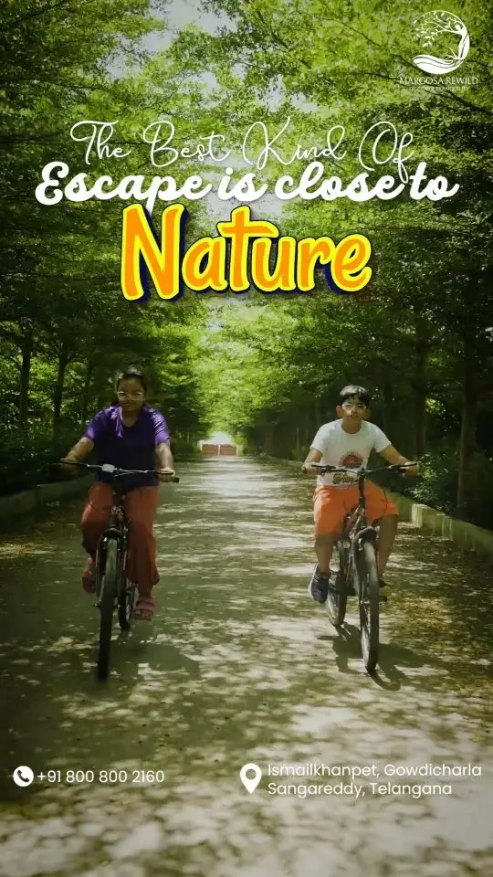 Two young cyclists riding bikes on a tree-lined nature path with green foliage